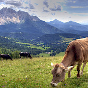Dolomites a Veneza Foto