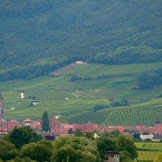 Heart of Alsace Photo