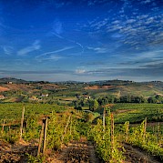 Tuscany - Florence, Siena, and the Chianti! Photo