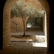 Jerusalem to Eilat Photo