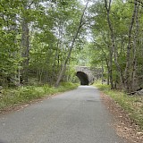 Along the Carriage Road in Acadia National Park (photo by Donna M.)