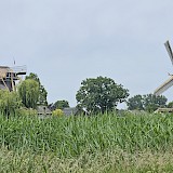 Windmills (photo by Connie D.)