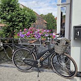 Bruges (photo by Janet R.)