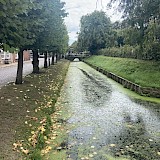 A pretty water way in Zeeland, Netherlands. (photo by Susan T.)