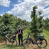 Stopping for lunch in the orchards with  local cheese, tomatoes and fresh bread! (photo by Geoffrey and Terri W.)