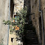 Passageways and doorways in Viviers. (photo by Dale S.)