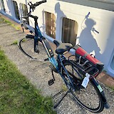 Easy to ride e-bike (photo by Beth S.)
