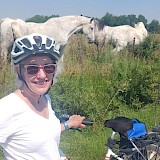 The Camargue (photo by John D.)
