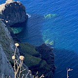  (photo by Azadeh S.)