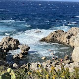  (photo by Azadeh S.)