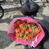  (photo by Nancy Marie Z.)