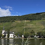 One of many scenic sites biking along the Moselle (photo by Donna L.)