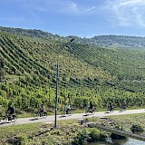 Riding through German wine country! (photo by Sarah M.)