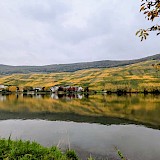 Grogeous views along the bike path (photo by Katie C.)