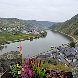 View from a castle (photo by Ann M.)