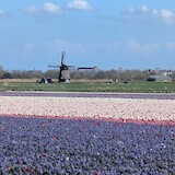  (photo by Nancee W.)