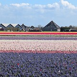  (photo by Nancee W.)