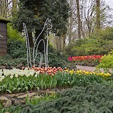  (photo by Nancee W.)