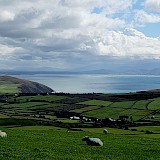 The sheep have the best views! (photo by Lori C.)