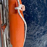  (photo by Ksenia K.)