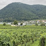 This picture is the Vivienne passing us as we enjoy the vineyards on the last day riding (photo by Marion M.)