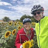 Enjoying the radiant colors of all the sunflowers (photo by Stuart F.)