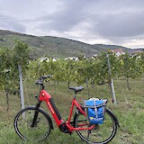 Wachau (photo by Renee N.)