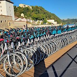 Our bikes... expertly maintained and waiting for us every day.  The bike paths were paved and the app worked so well as we meanadered. (photo by Ann H.)