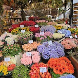 Flower market (photo by Brent W.)