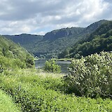 Along the Elbe (photo by Daniel B.)