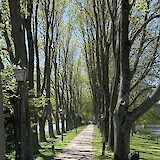 Incredible bike paths, Fietzpads (photo by Steven M.)