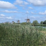 view of historic windmills of Kinderdijk (photo by Tim R.)