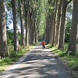 Dutch Bike trails (photo by Gil G.)