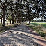 Dutch Bike trails (photo by Gil G.)