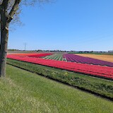  (photo by France B.)