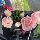  (photo by France B.)