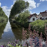 Biking through Holland (photo by Debra L.)