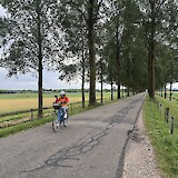 One of the numerous avenues along the way (photo by Michael K.)