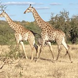  (photo by THERESA C.)