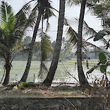 (photo by MaryAnn L.)