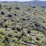 Dry-stone walls and terraces, evidence of long ago subsistence agriculture. (photo by Charlie C.)