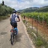 Riding thru ome of the many vineyards (photo by Bob R.)
