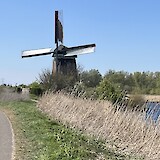 One of our many windmill sightings. (photo by Susan L.)