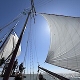 hosting sails on our ship (photo by Dawn P.)