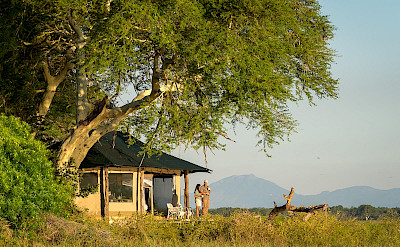 Kuthengo Camp in Liwonde. ©TO