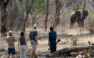Walking safari in Majete Wildlife Reserve. ©TO