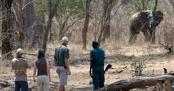 Walking safari in Majete Wildlife Reserve. ©TO