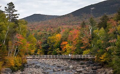 Fall colors at the White Mountains in New Hampshire! Flickr:C W