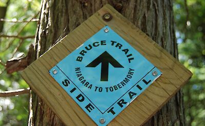 Side Trail near Tobermory, Canada. Flickr:SteFou!