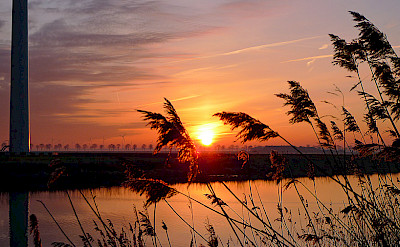 Sunset on Flevopolder, the Netherlands. Flickr:Ingo Ronner